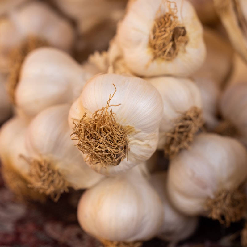 Knoblauch